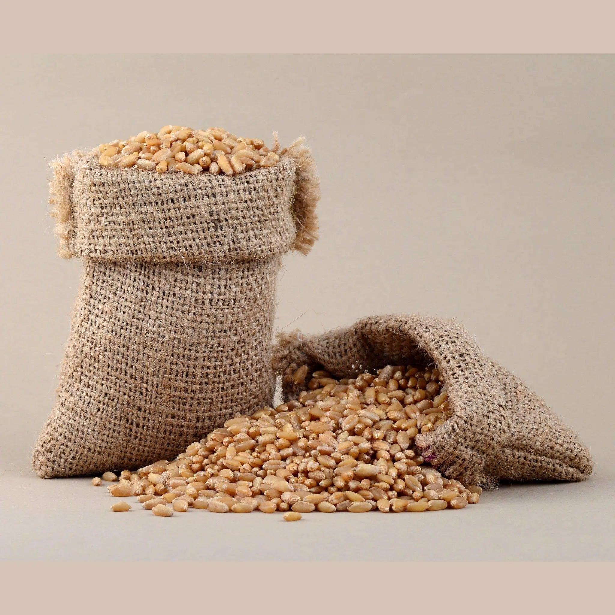 Organic Wheat