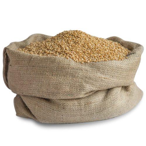 Sharbati Wheat